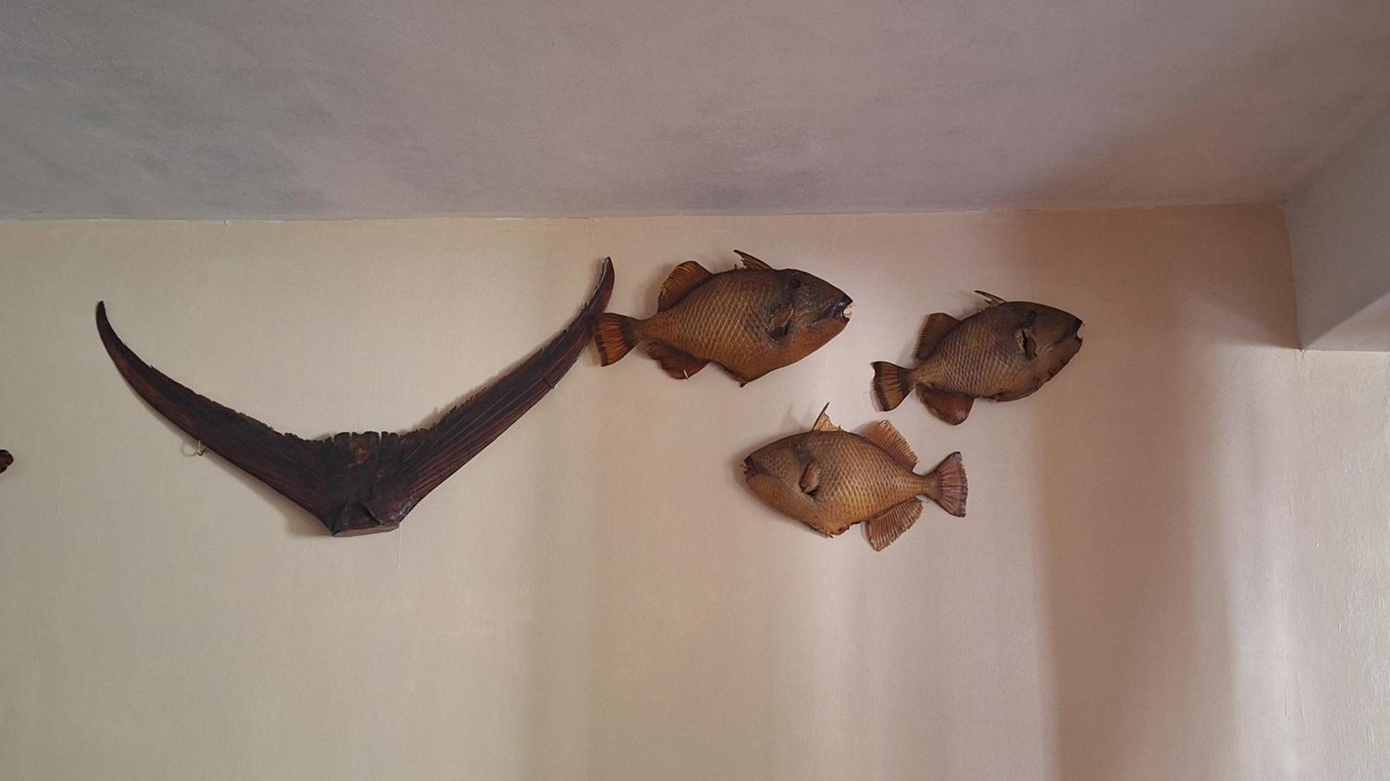 Chez Madam Rose Apartment Le Morne Luaran gambar